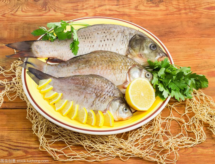 合肥元寶鳳凰價(jià)格如何將舊魚(yú)缸中的水倒入新魚(yú)缸中