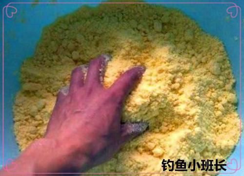 金龍魚擺在什么位置好