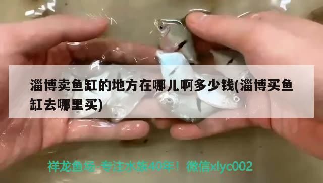 淄博賣魚缸的地方在哪兒啊多少錢(淄博買魚缸去哪里買)