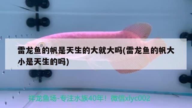 洛陽魚缸批發市場在哪里進貨的好點（洛陽哪里有賣缸的?） 洛陽魚缸批發市場在哪里進貨的好點（洛陽哪里有賣缸的?） 觀賞魚百科