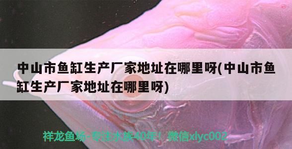 中山市魚缸生產廠家地址在哪里呀(中山市魚缸生產廠家地址在哪里呀) 中山市魚缸生產廠家地址在哪里呀(中山市魚缸生產廠家地址在哪里呀) 錦鯉魚百科 第3張