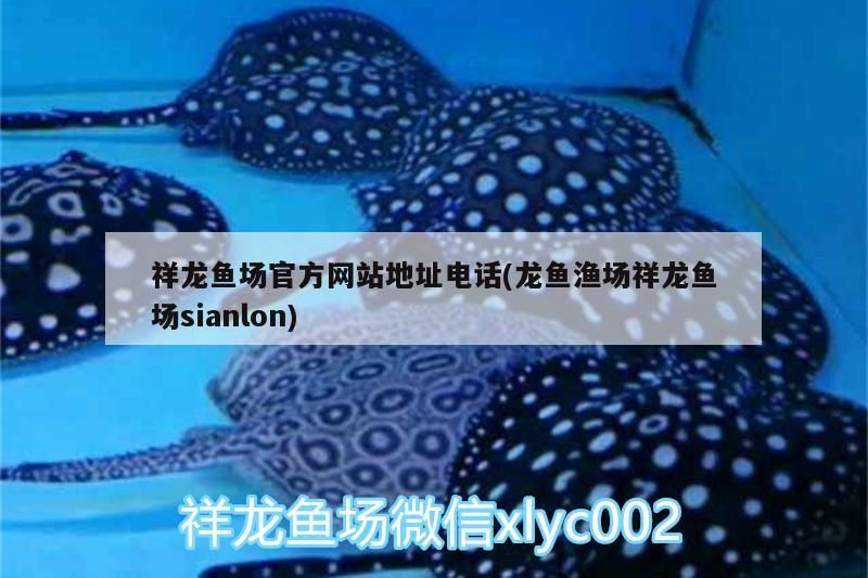 紅龍魚 祥龍魚場官方網(wǎng)站地址電話(龍魚漁場祥龍魚場sianlon) vs祥龍魚場 祥龍魚場官方網(wǎng)站地址電話(龍魚漁場祥龍魚場sianlon) 祥龍魚場官方網(wǎng)站地址電話(龍魚漁場祥龍魚場sianlon) vs祥龍魚場