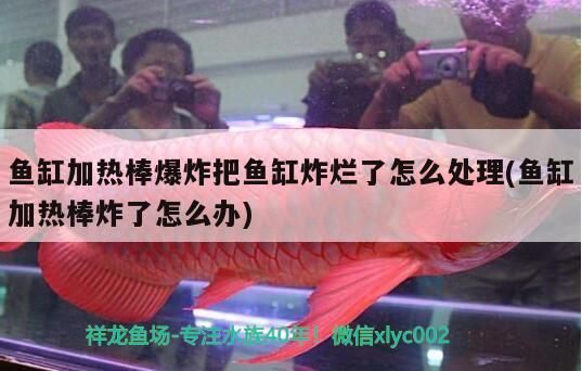 魚缸加熱棒爆炸把魚缸炸爛了怎么處理(魚缸加熱棒炸了怎么辦)