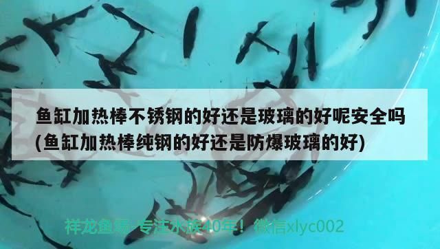 魚缸加熱棒不銹鋼的好還是玻璃的好呢安全嗎(魚缸加熱棒純鋼的好還是防爆玻璃的好) 魚缸加熱棒不銹鋼的好還是玻璃的好呢安全嗎(魚缸加熱棒純鋼的好還是防爆玻璃的好) 黃金貓魚百科 第3張