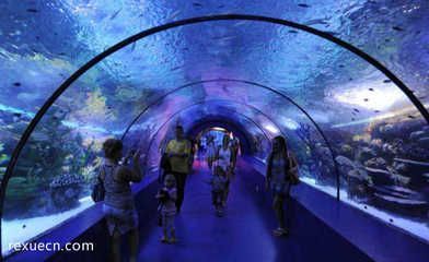 國內水族館排名（2024年國內水族館排名）