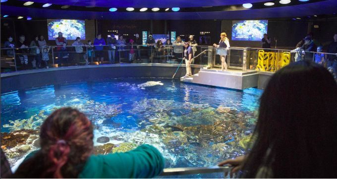 開家水族館進貨要求多少：開一家水族館進貨渠道對比分析水族館貨品管理技巧分享