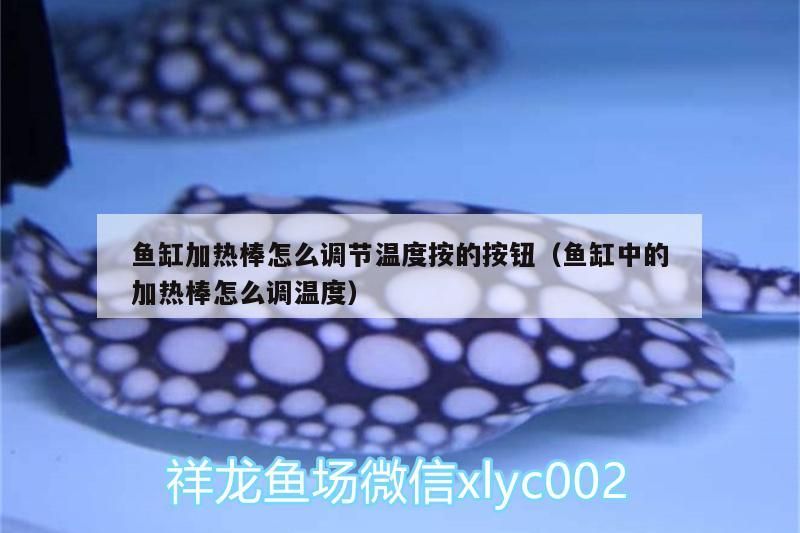 魚缸加熱棒怎么調節溫度按的按鈕（魚缸中的加熱棒怎么調溫度）