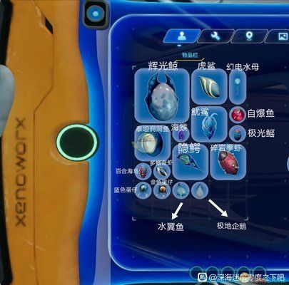 大型水族館碎片代碼（《深海迷航》大型水族館碎片代碼分布在以下幾個地點）
