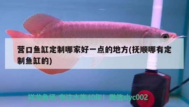 營口魚缸定制哪家好一點的地方(撫順哪有定制魚缸的)