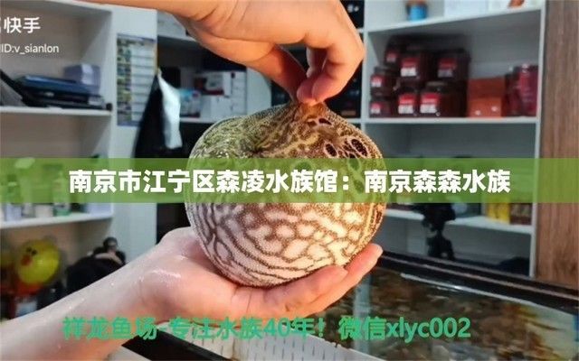 祥龍水族館科普講座主題介紹（“祥龍水族館科普”）