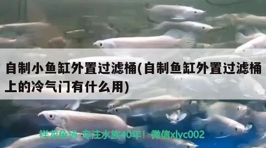 自制小魚缸外置過濾桶(自制魚缸外置過濾桶上的冷氣門有什么用) 自制小魚缸外置過濾桶(自制魚缸外置過濾桶上的冷氣門有什么用) 黃金貓魚百科 第2張