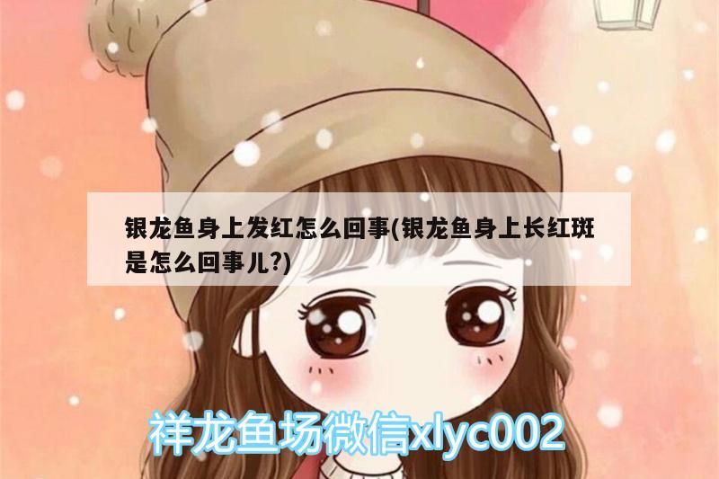 銀龍魚身上發紅怎么回事(銀龍魚身上長紅斑是怎么回事兒?)
