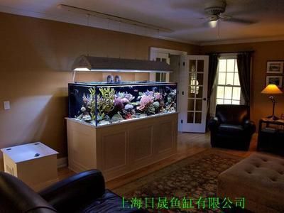 80公分高的魚缸造景效果圖：80公分高的魚缸造景可以采取不同的設計方案