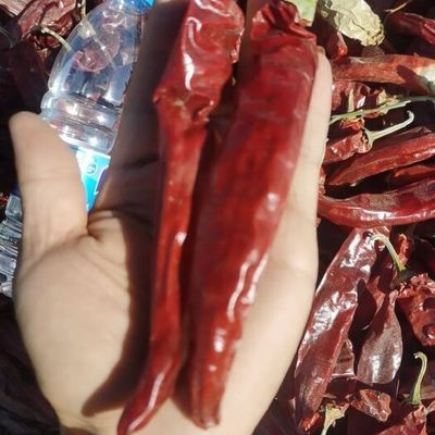 辣椒紅龍常見(jiàn)疾病預(yù)防：辣椒紅龍魚水質(zhì)管理技巧,