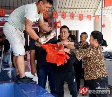 懷化龍魚vs懷化水族批發市場vs懷化水族館vs懷化魚缸批發市場vs祥龍魚場：懷化龍魚、懷化水族批發市場、懷化水族批發市場價格對比