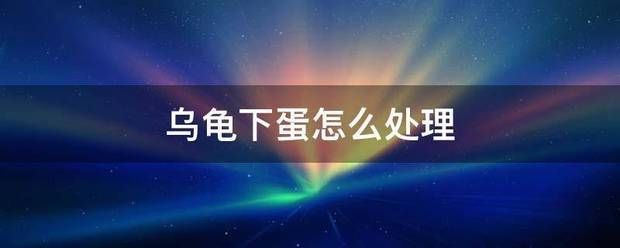 豬鼻龜下蛋怎么辦?。贺i鼻龜養殖方法