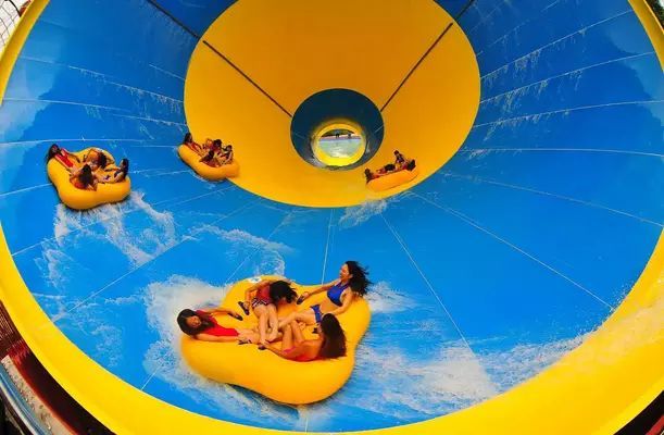 祥龍水族館門票價(jià)格（祥龍水族館的門票價(jià)格是多少） 祥龍水族館門票價(jià)格（祥龍水族館的門票價(jià)格是多少） 水族館百科（水族館加盟） 第5張