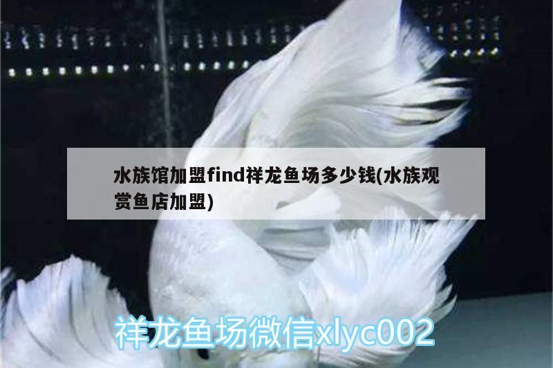 水族館加盟find祥龍魚場多少錢(水族觀賞魚店加盟) 水族館加盟find祥龍魚場多少錢(水族觀賞魚店加盟) vs祥龍魚場