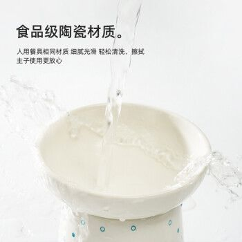 喵仙兒魚缸，喵仙兒品牌可能與寵物貓和魚缸有關聯 喵仙兒魚缸，喵仙兒品牌可能與寵物貓和魚缸有關聯 魚缸百科 第2張