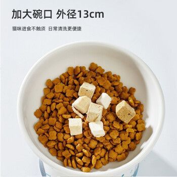 喵仙兒魚缸，喵仙兒品牌可能與寵物貓和魚缸有關聯 喵仙兒魚缸，喵仙兒品牌可能與寵物貓和魚缸有關聯 魚缸百科 第5張