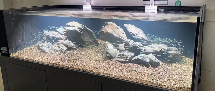 歐鉑龍魚缸底濾，歐鉑龍魚缸底濾與上濾的區別如何選擇合適的魚缸底濾