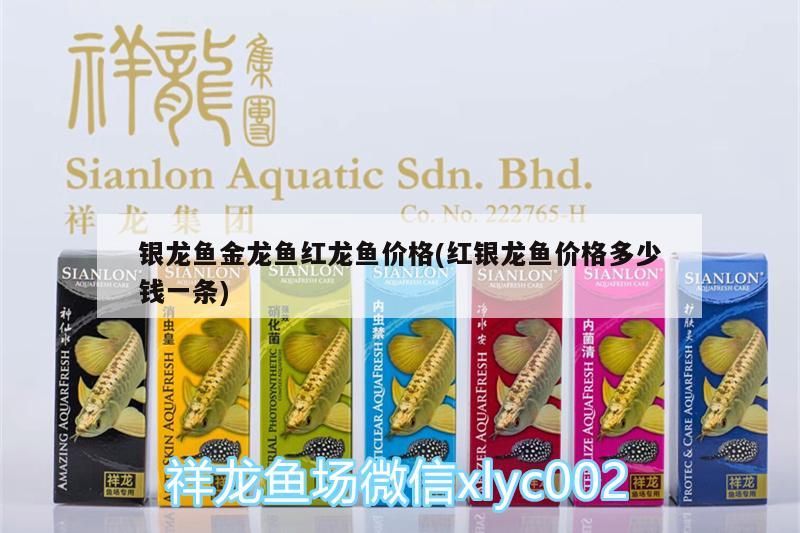 銀龍魚金龍魚紅龍魚價(jià)格(紅銀龍魚價(jià)格多少錢一條)