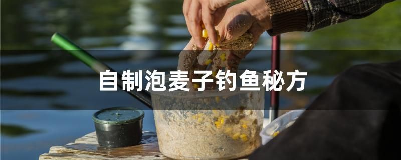 自制泡麥子釣魚秘方