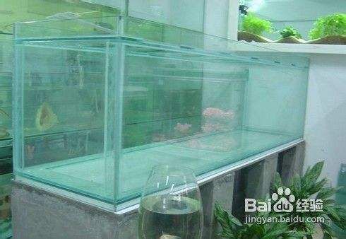 魚缸長時間不用會不會漏水，如何檢測魚缸密封性魚缸防漏維護技巧