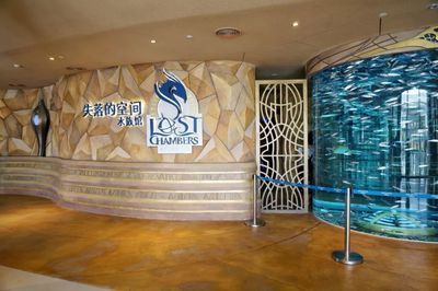 水族館店鋪名字大全集(水族館店鋪名字如何選擇) 水族館百科(水族館加盟) 第5張 水族館店鋪名字大全集(水族館店鋪名字如何選擇) 水族館店鋪名字大全集(水族館店鋪名字如何選擇) 水族館百科(水族館加盟) 第5張