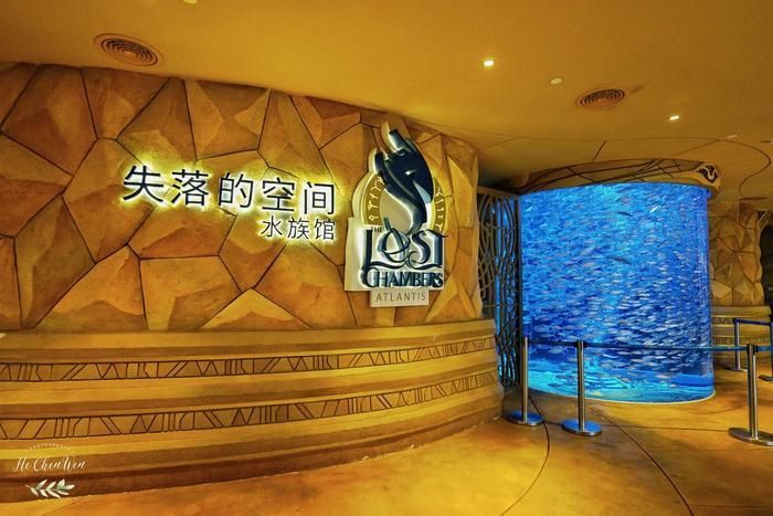 水族館店鋪名字大全集(水族館店鋪名字如何選擇) 水族館百科(水族館加盟) 第6張 水族館店鋪名字大全集(水族館店鋪名字如何選擇) 水族館店鋪名字大全集(水族館店鋪名字如何選擇) 水族館百科(水族館加盟) 第6張
