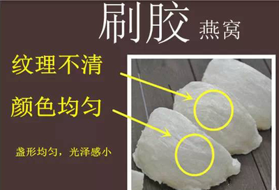 泰北虎魚(泰北虎魚和印尼虎魚哪個(gè)好)