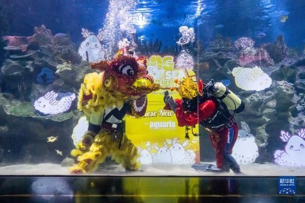 水族館開業(yè)活動（關于水族館開業(yè)活動的一些詳細信息）