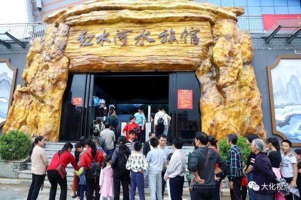 水族館開業(yè)活動（關于水族館開業(yè)活動的一些詳細信息）
