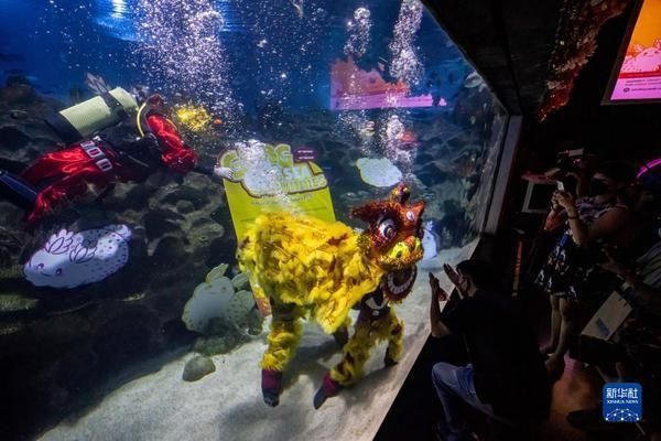 水族館開業(yè)活動（關于水族館開業(yè)活動的一些詳細信息）