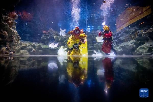 水族館開業(yè)活動（關于水族館開業(yè)活動的一些詳細信息）