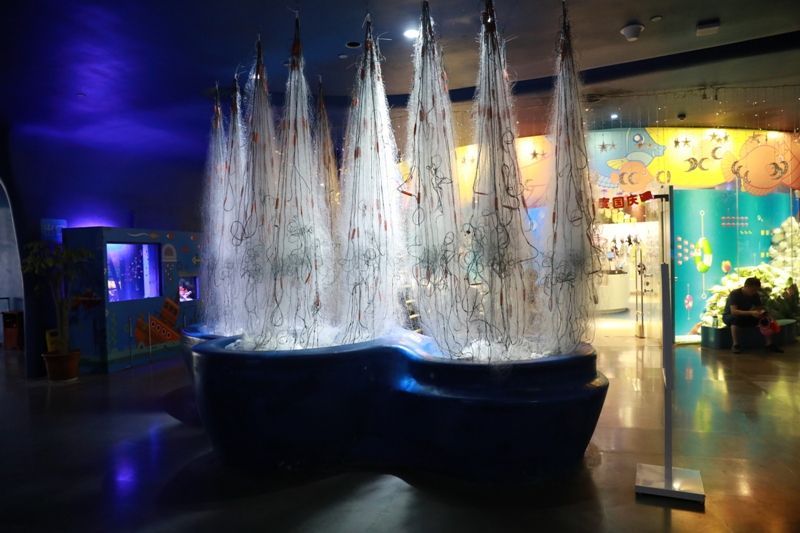 水族館怎么取創意名（如何評估水族館名字的吸引力） 水族館怎么取創意名（如何評估水族館名字的吸引力） 水族館百科（水族館加盟） 第5張