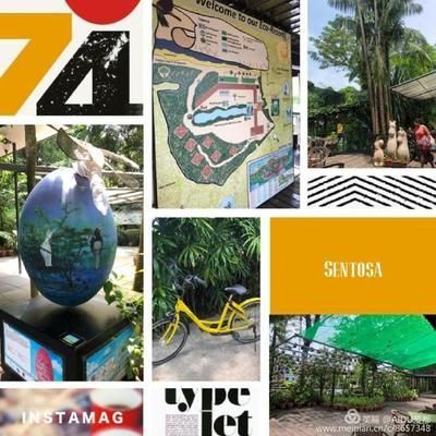 開一個水族館需要什么手續和費用：開設水族館所需手續和費用