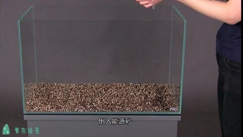 60x60x45魚缸效果：60x60x45的魚缸尺寸選擇