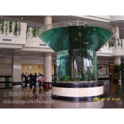 保山龍魚vs保山水族批發(fā)市場vs保山水族館vs保山魚缸批發(fā)市場vs祥龍魚場：保山龍魚、保山水族批發(fā)市場、保山魚缸批發(fā)市場和祥龍魚場的詳細(xì)信息