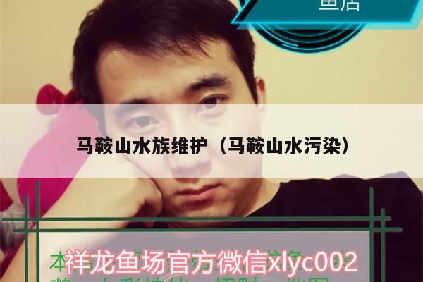 馬鞍山水族維護（馬鞍山水污染）