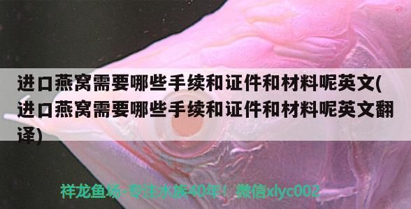 呂梁水族館羅漢喂河蝦好還是海蝦好？
