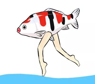 觀賞魚考試（29篇觀賞魚考試直播觀賞魚考試在線觀看觀賞魚考試）