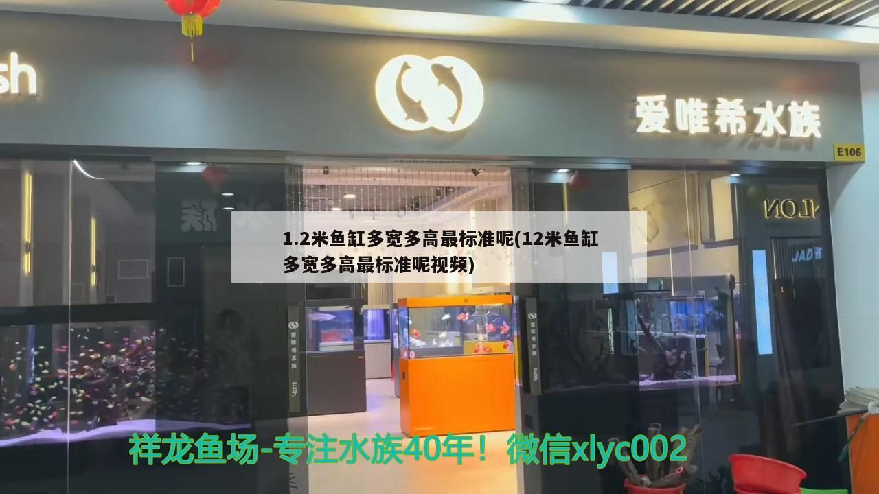 1.2米魚缸多寬多高最標準呢(12米魚缸多寬多高最標準呢視頻)