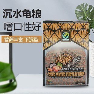 豬鼻龜擺件：豬鼻子龜?shù)娘L水布局方式有講究豬鼻子龜風水布局方式 豬鼻龜擺件：豬鼻子龜?shù)娘L水布局方式有講究豬鼻子龜風水布局方式 豬鼻龜百科 第9張