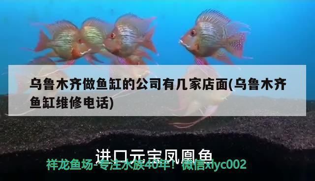 烏魯木齊龍魚vs烏魯木齊水族批發(fā)市場vs烏魯木齊水族館vs烏魯木齊魚缸批發(fā)市場vs祥龍魚場:烏魯木齊水族批發(fā)市場 祥龍魚場各市分站 第19張 烏魯木齊龍魚vs烏魯木齊水族批發(fā)市場vs烏魯木齊水族館vs烏魯木齊魚缸批發(fā)市場vs祥龍魚場:烏魯木齊水族批發(fā)市場 烏魯木齊龍魚vs烏魯木齊水族批發(fā)市場vs烏魯木齊水族館vs烏魯木齊魚缸批發(fā)市場vs祥龍魚場:烏魯木齊水族批發(fā)市場 祥龍魚場各市分站 第19張