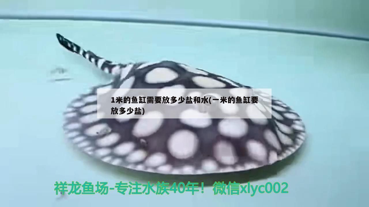1米的魚缸需要放多少鹽和水(一米的魚缸要放多少鹽) 1米的魚缸需要放多少鹽和水(一米的魚缸要放多少鹽) 元寶鳳凰魚百科 第2張