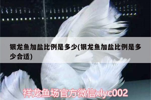 銀龍魚加鹽比例是多少(銀龍魚加鹽比例是多少合適) 銀龍魚百科 第3張 銀龍魚加鹽比例是多少(銀龍魚加鹽比例是多少合適) 銀龍魚加鹽比例是多少(銀龍魚加鹽比例是多少合適) 銀龍魚百科 第3張