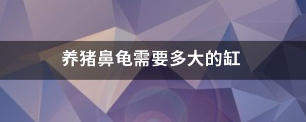 豬鼻龜需要多大的缸養(yǎng)好：關(guān)于豬鼻龜?shù)娘曫B(yǎng)