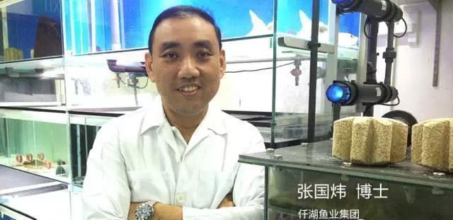 如何選購龍魚缸水草，在選購龍魚缸水草時，需要考慮哪些因素