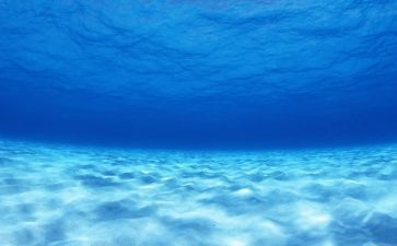 水族館推薦一個好地方400字四年級上冊作文（《推薦一個好地方——水族館》） 水族館推薦一個好地方400字四年級上冊作文（《推薦一個好地方——水族館》） 水族館百科（水族館加盟） 第6張